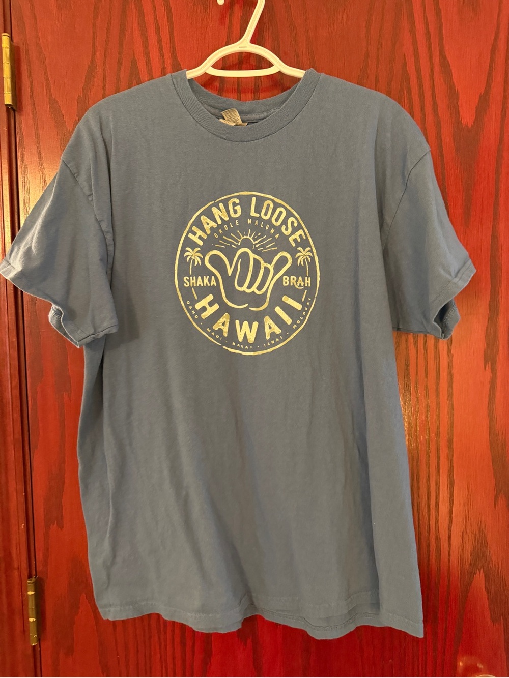 Hang Loose Hawaii Graphic Tee - Blue